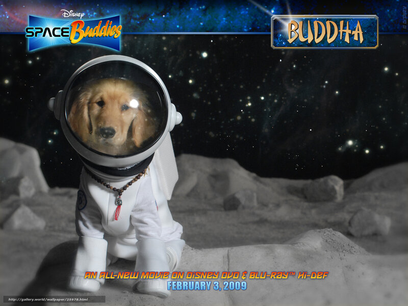 Buddha the Space Dog