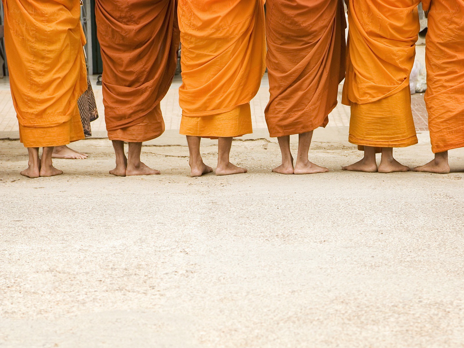Buddhist monks in orange robes