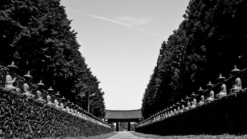 Buddhist statues line a temple path