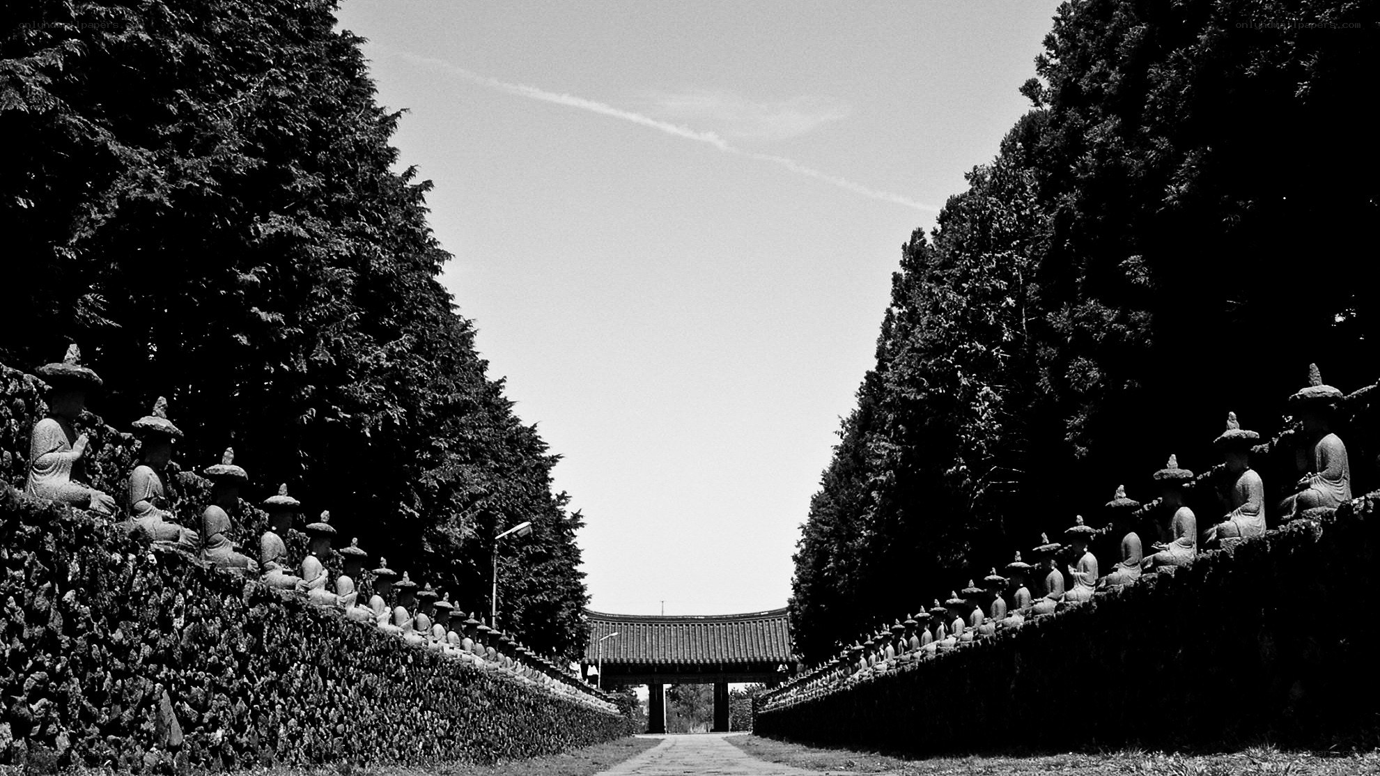 Buddhist statues line a temple path