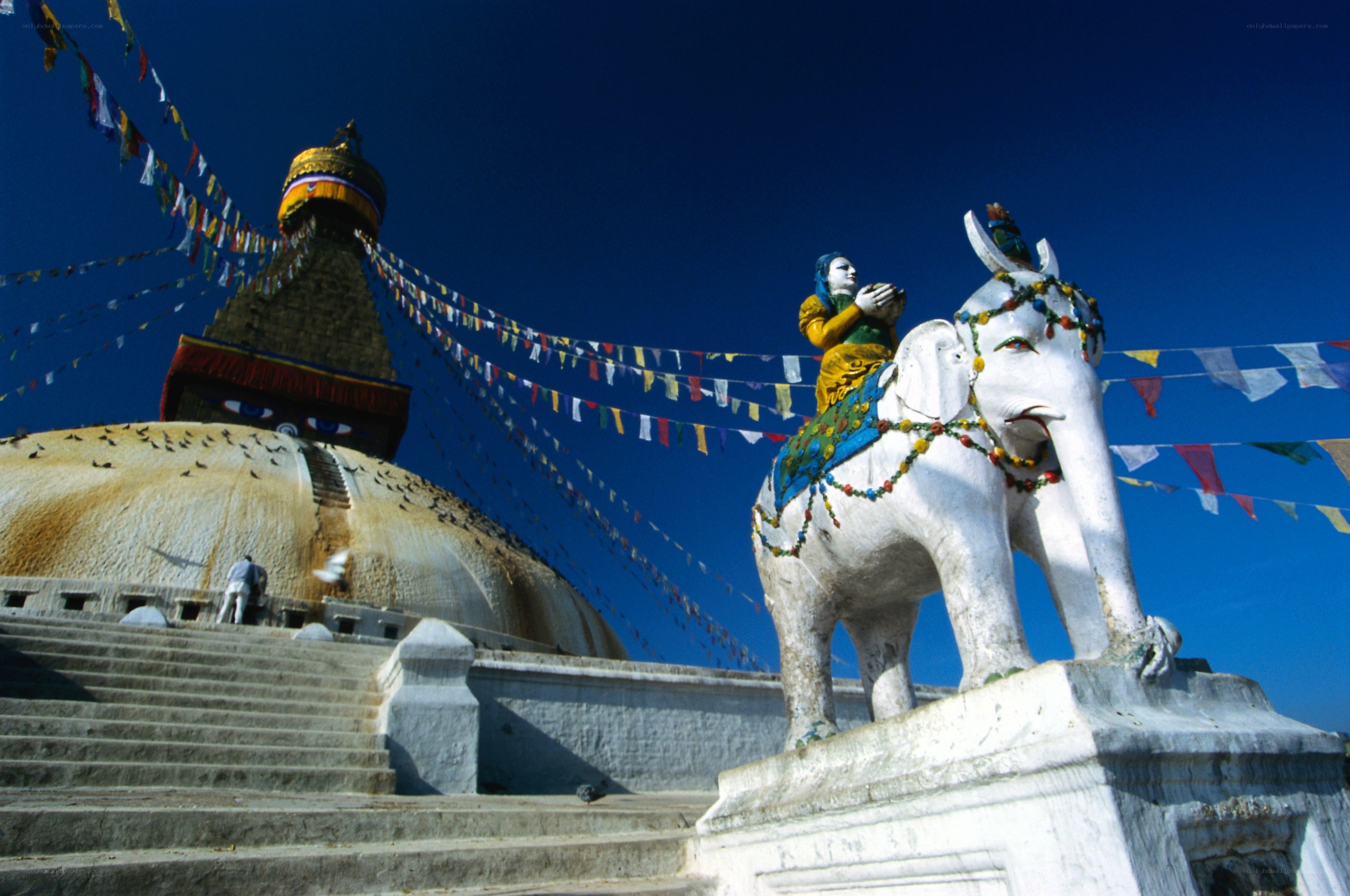 Buddhist stupa with elephant statue