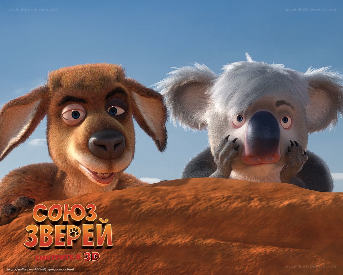 Buddy and the koala