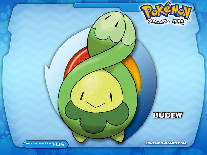 Budew from Pokémon Diamond and Pearl