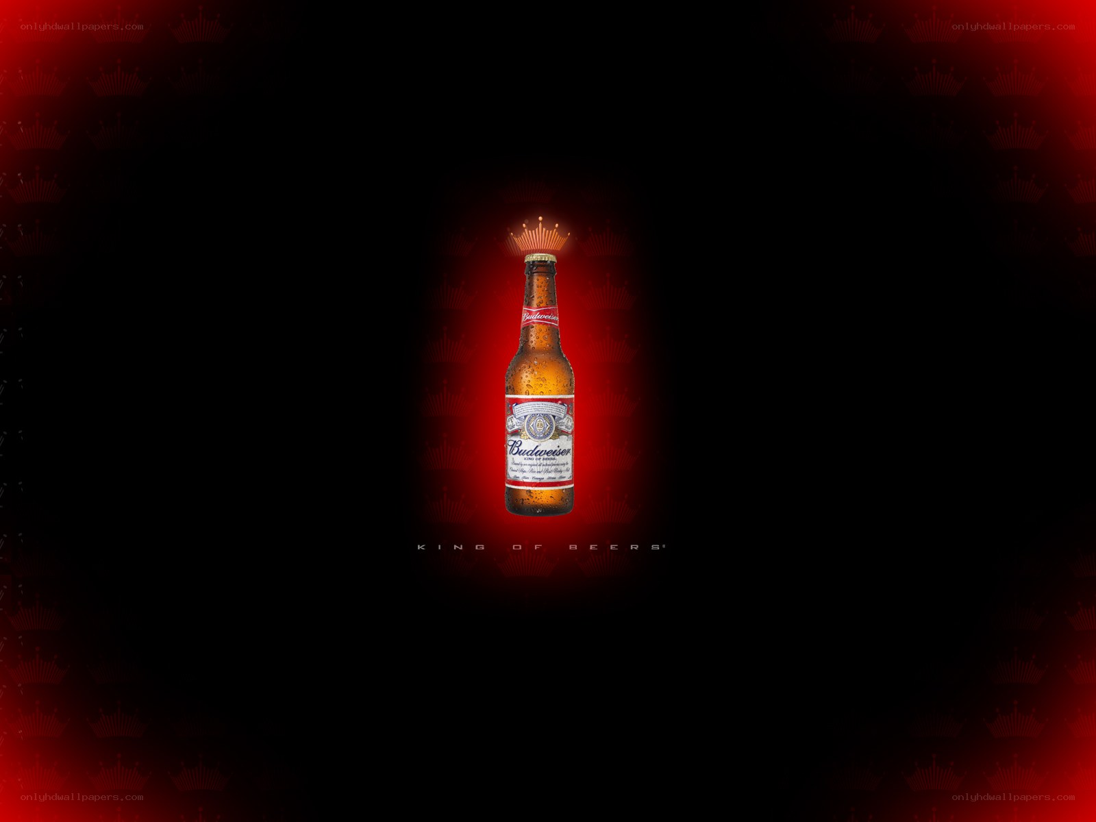 Budweiser beer bottle