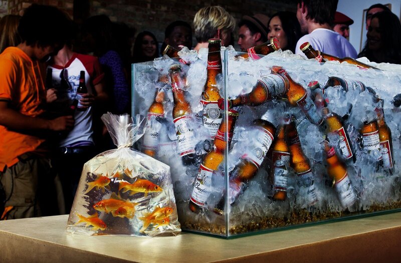 Budweiser beer display with goldfish