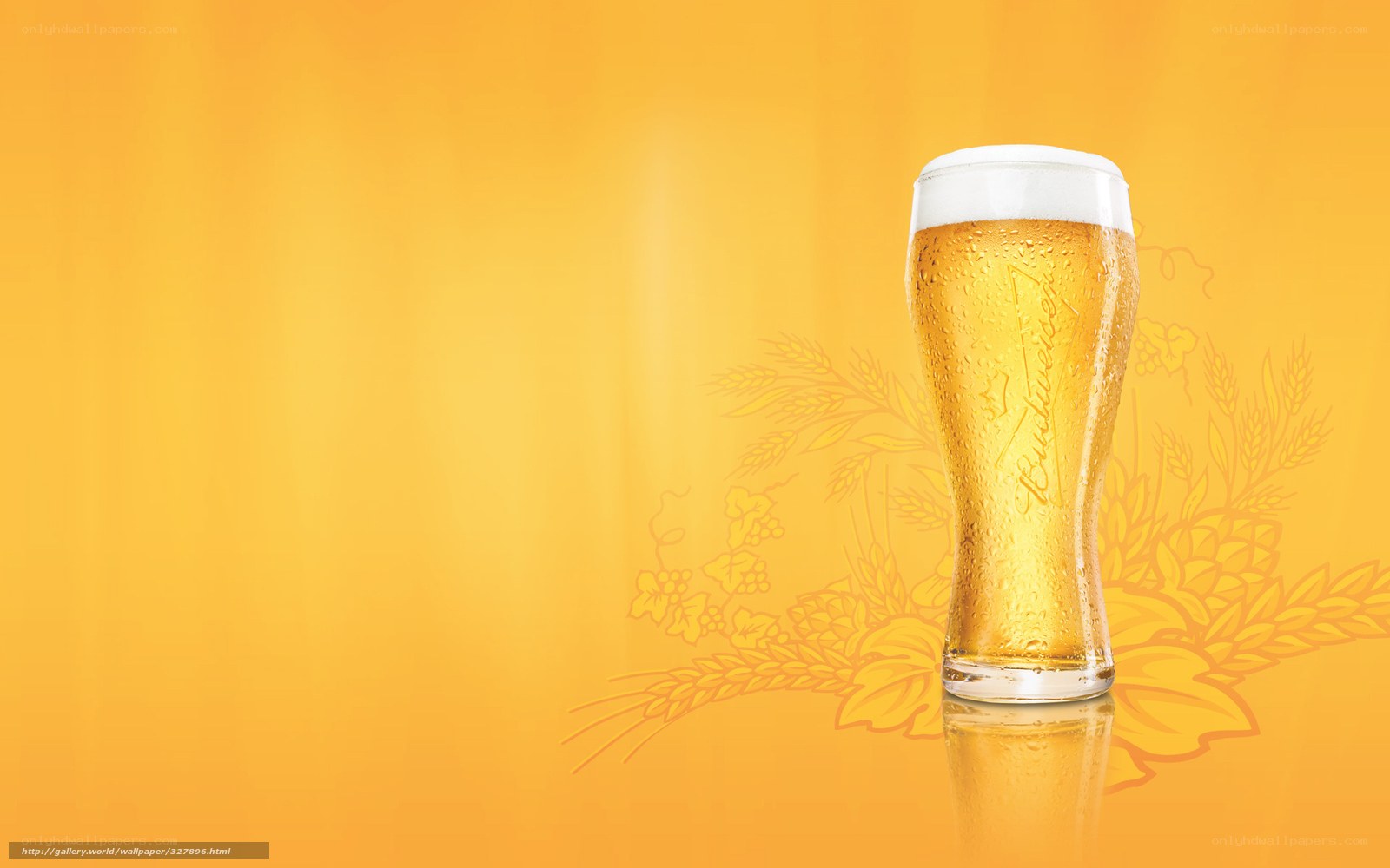 Budweiser beer glass