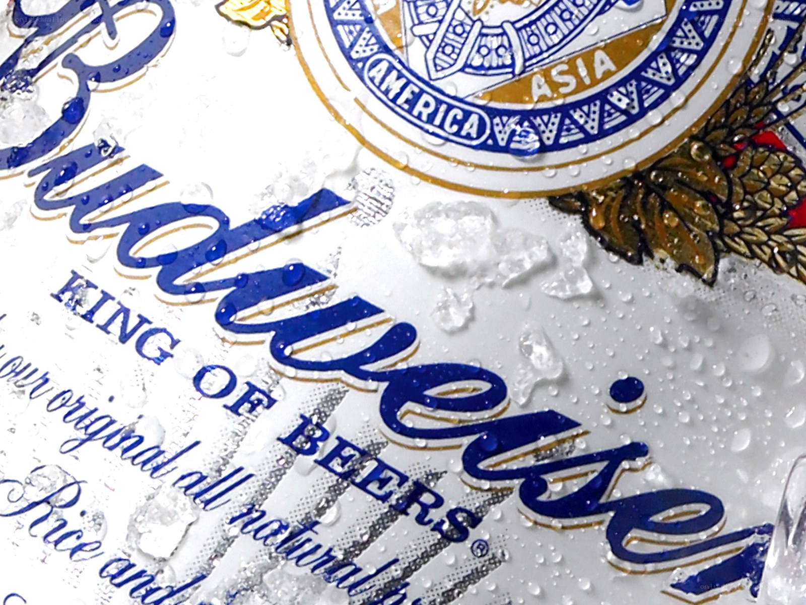 Budweiser beer label with condensation