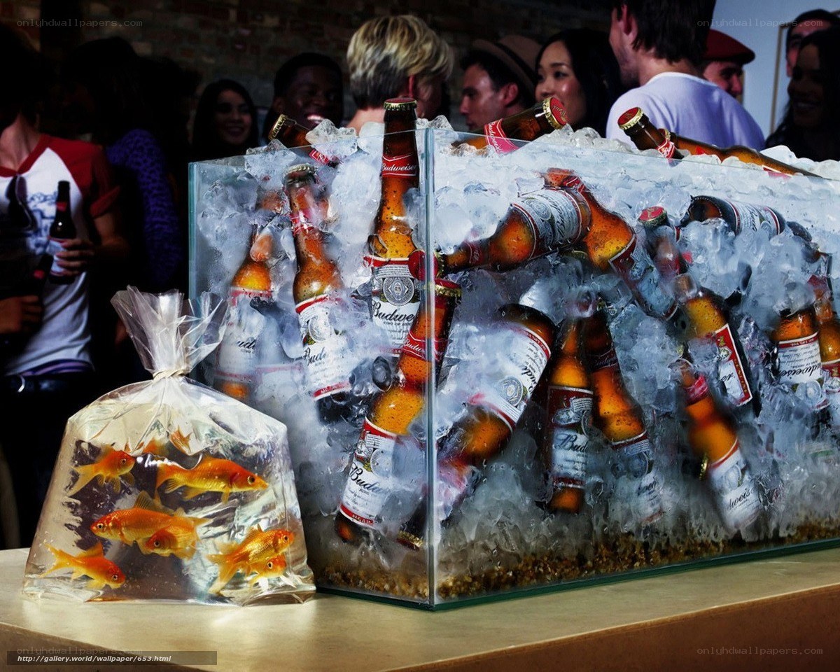 Budweiser bottles in ice with goldfish