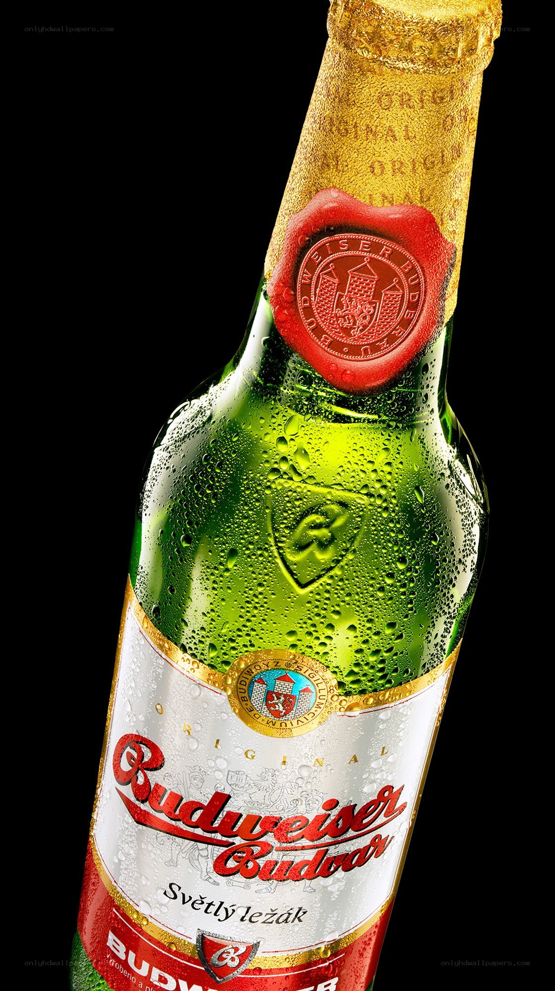 Budweiser Budvar bottle