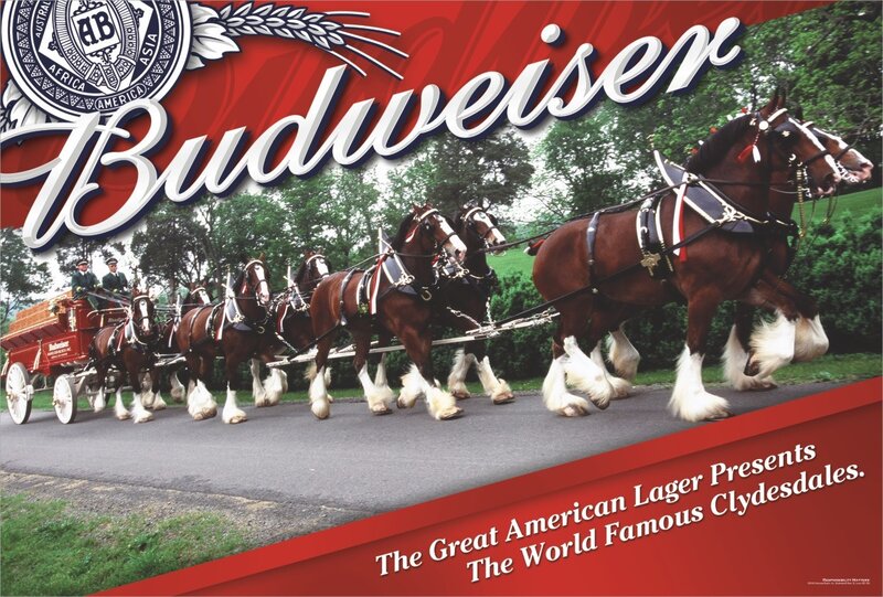 Budweiser Clydesdales — Red