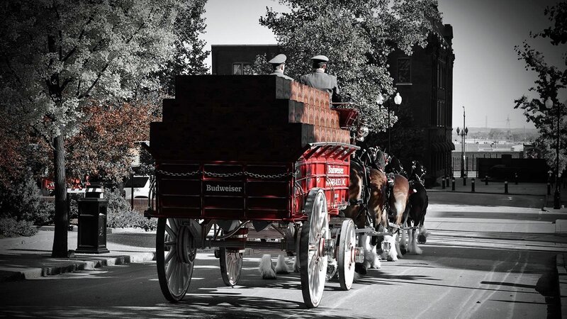 Budweiser Delivery Wagon