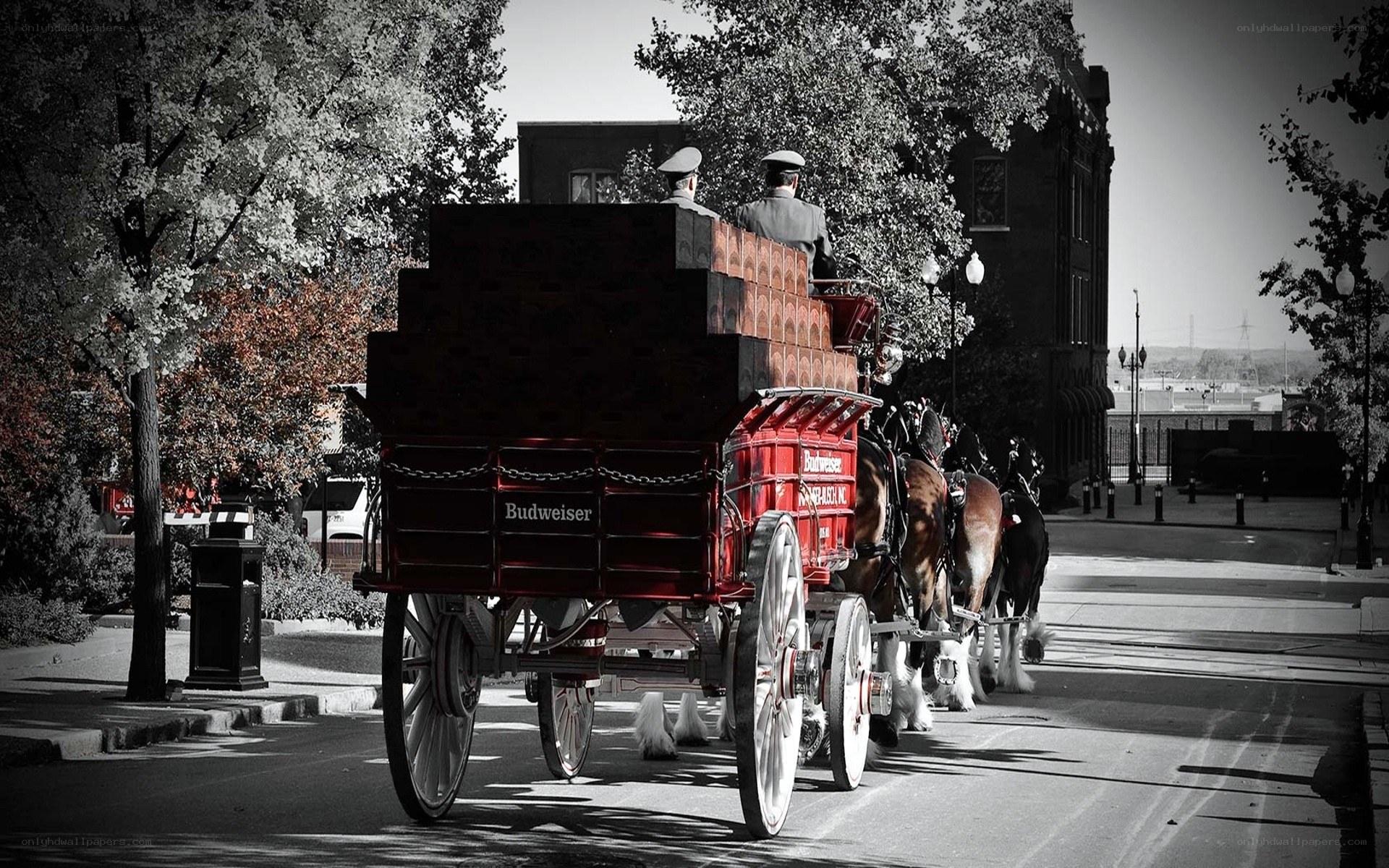 Budweiser horse-drawn delivery