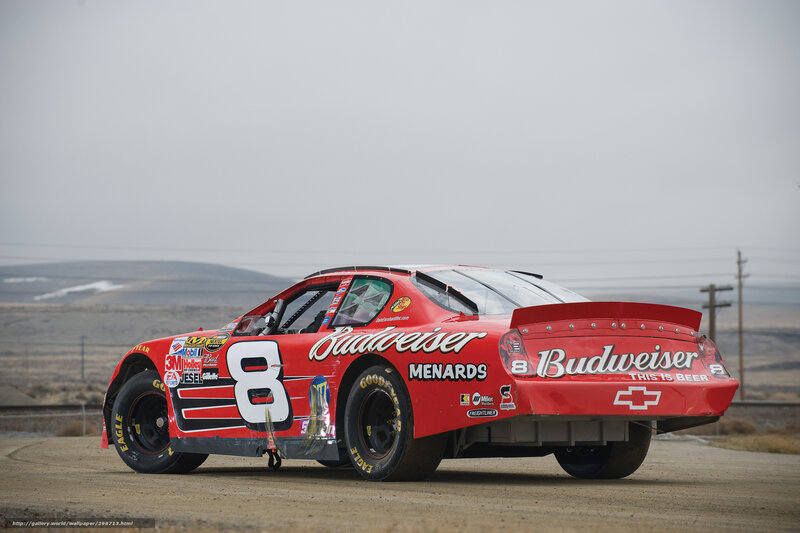 Budweiser race car on track