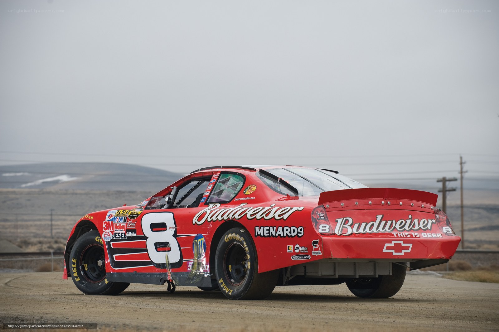 Budweiser race car on track