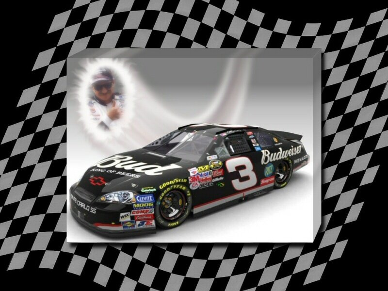 Budweiser race car with driver