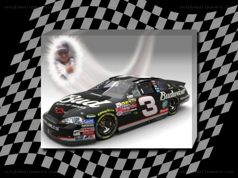 Budweiser race car with driver