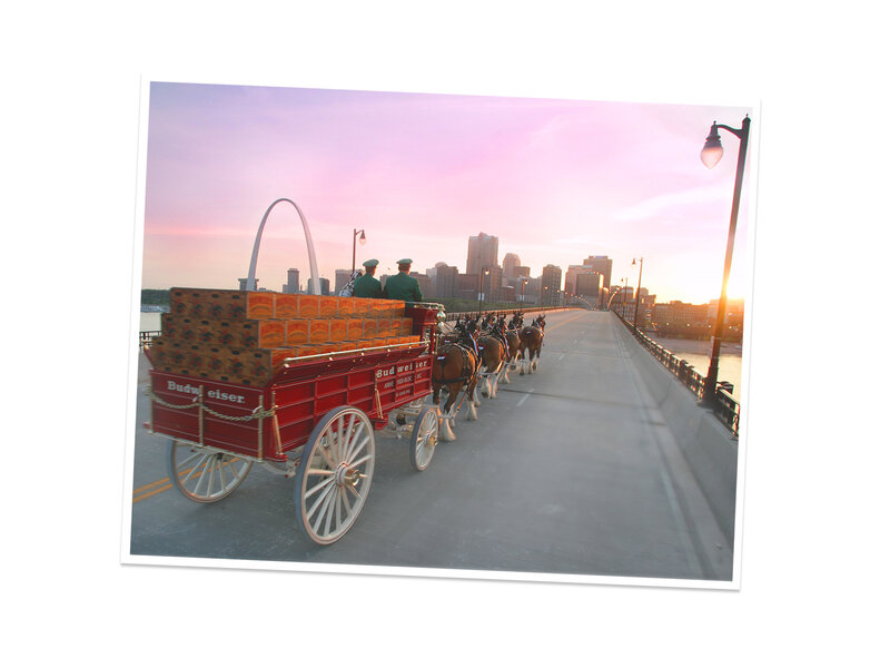 Budweiser Wagon and Horses