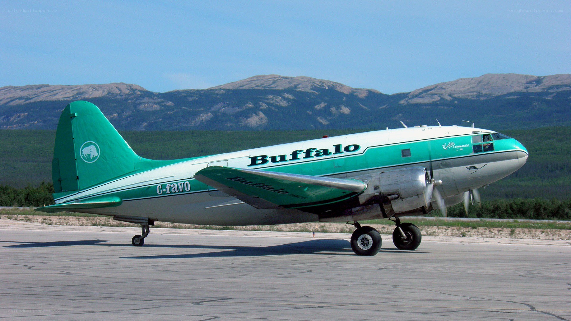Buffalo aircraft on runway