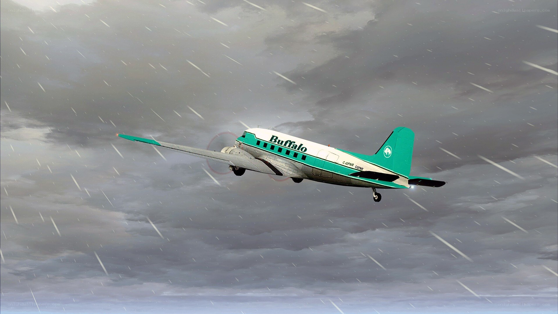 Buffalo airplane in storm