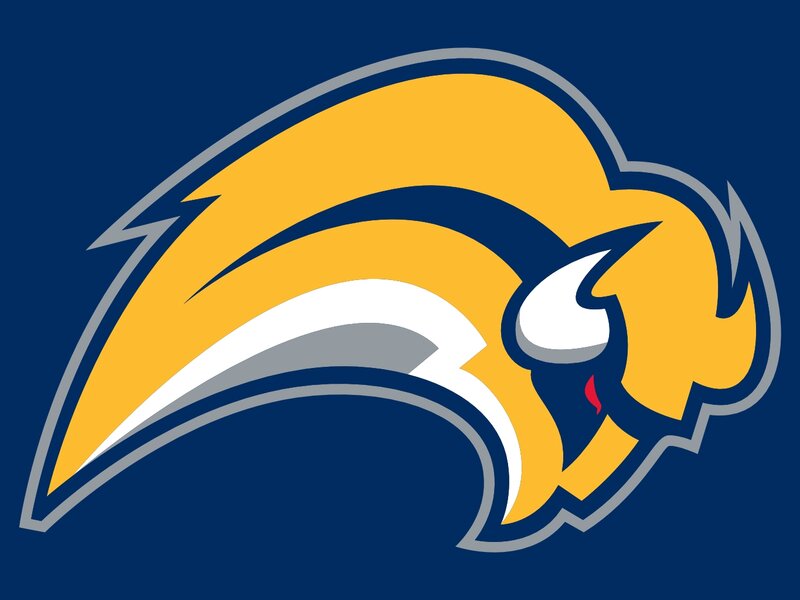 Buffalo Head Logo