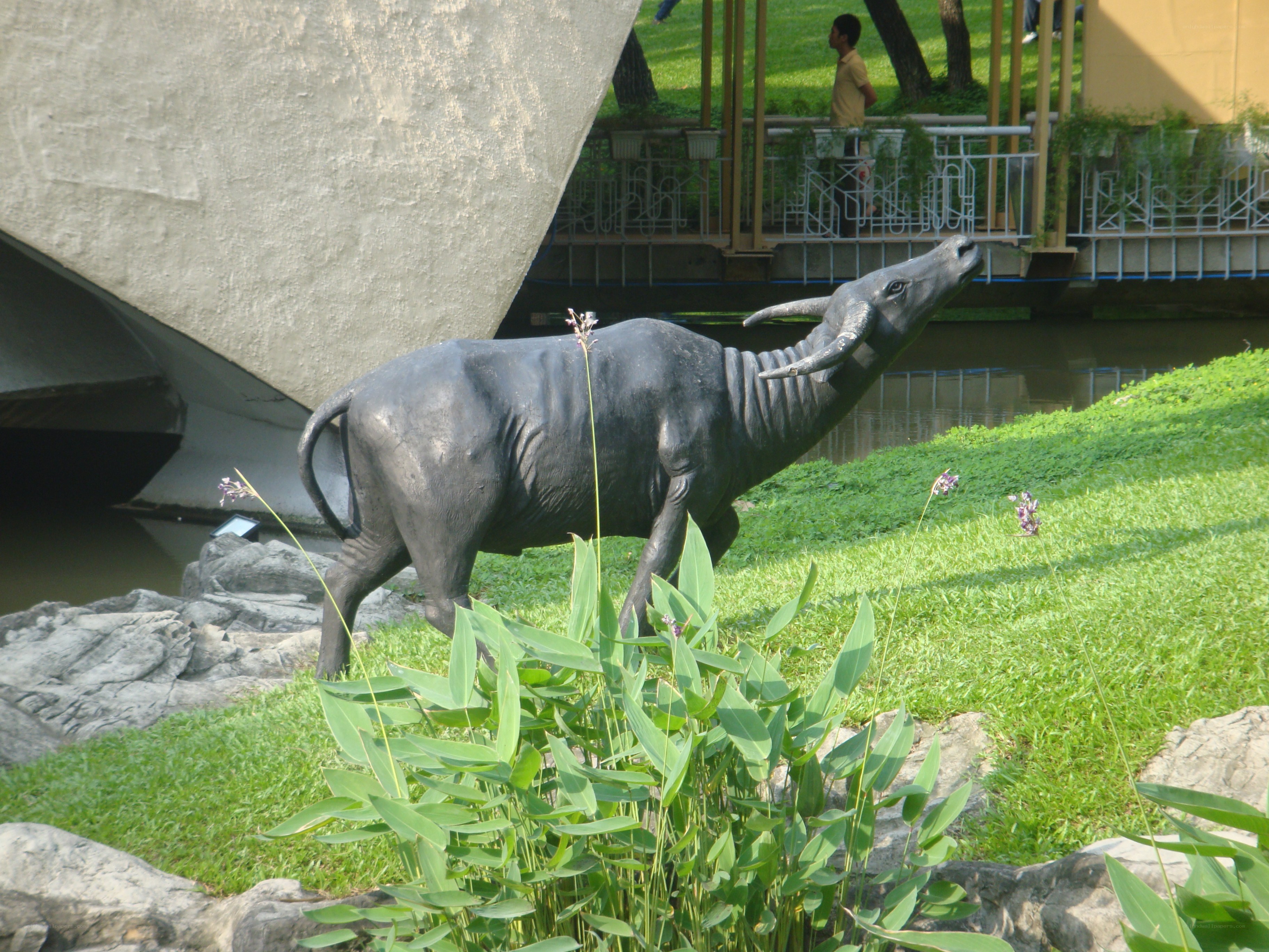 Buffalo statue in park