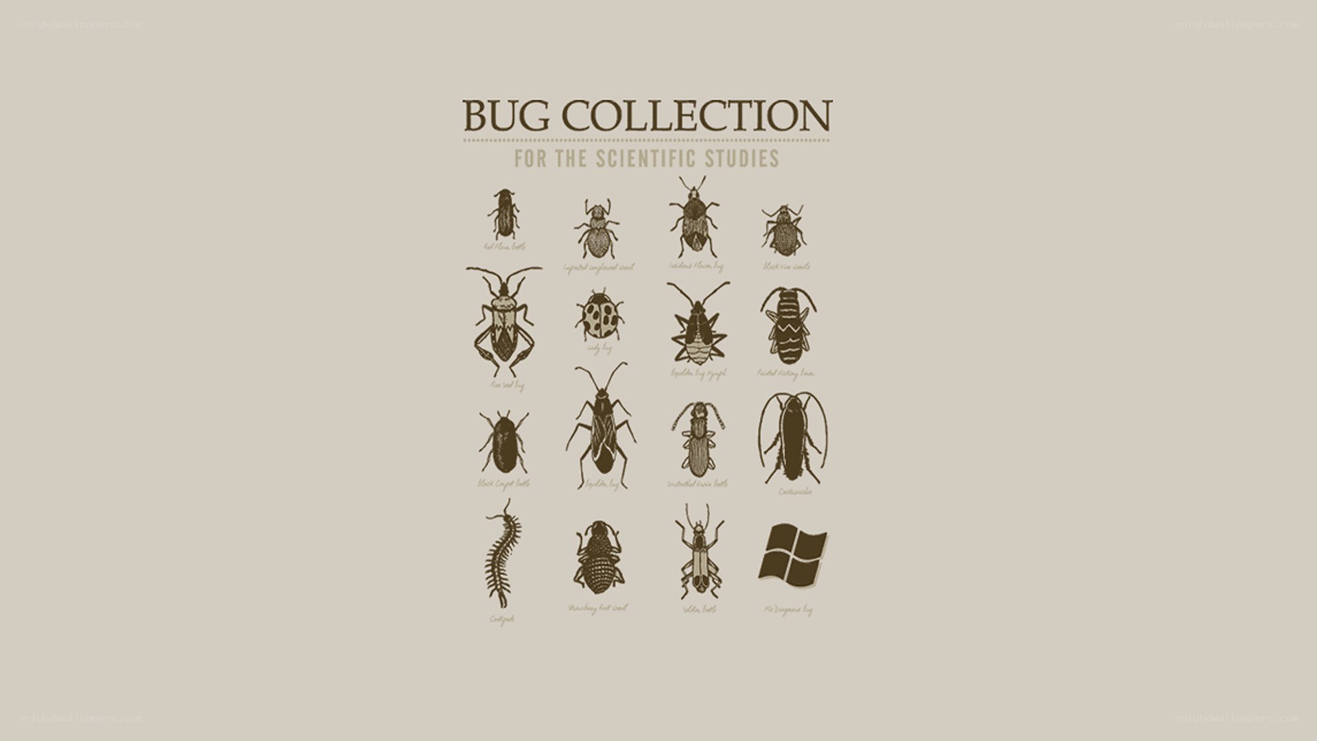 Bug collection for studies