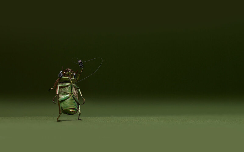 Bug with headphones and music player