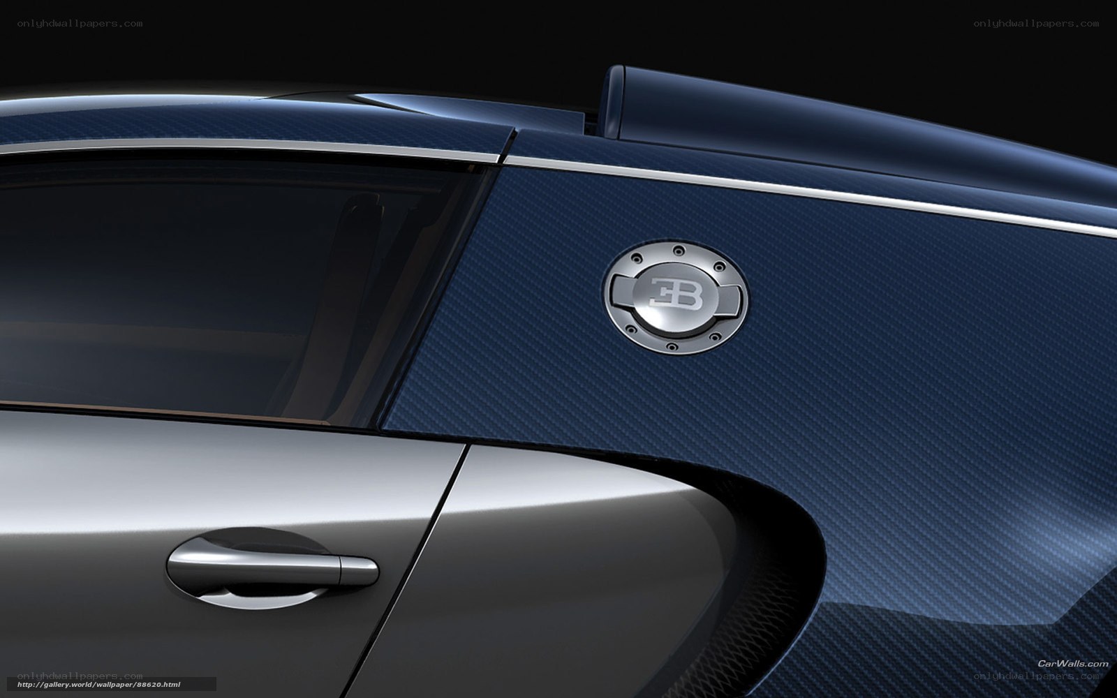 Bugatti car side panel