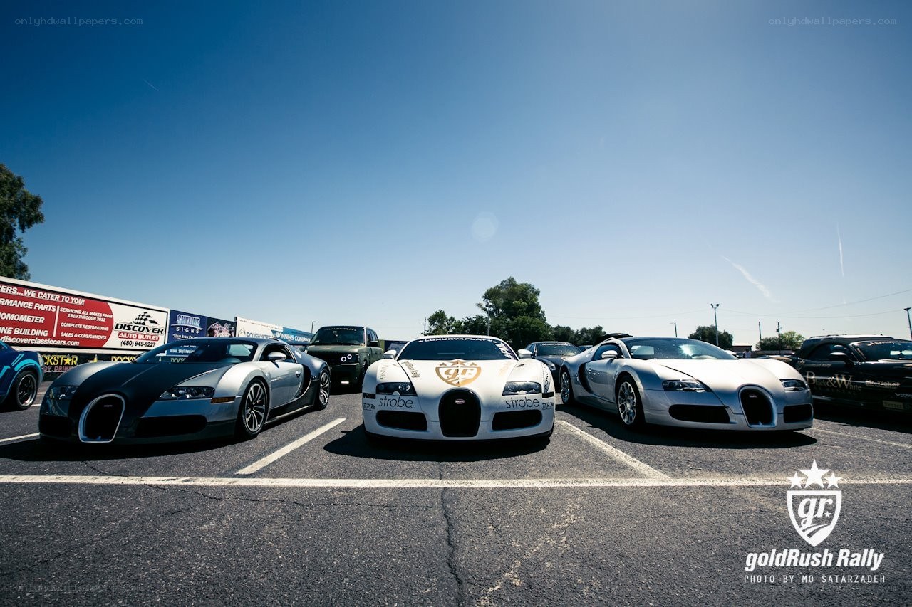 Bugatti cars at a rally