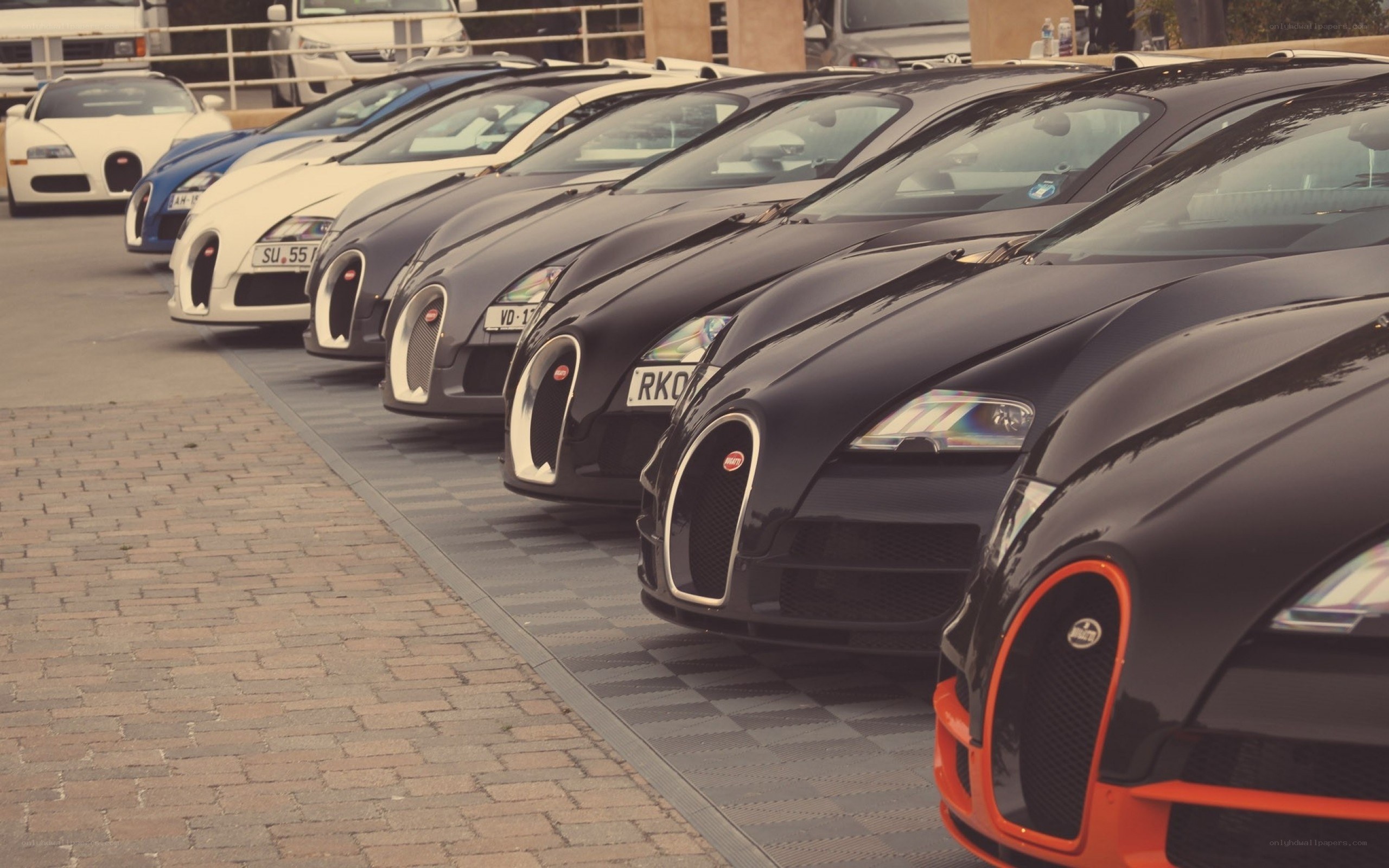 Bugatti cars in a row