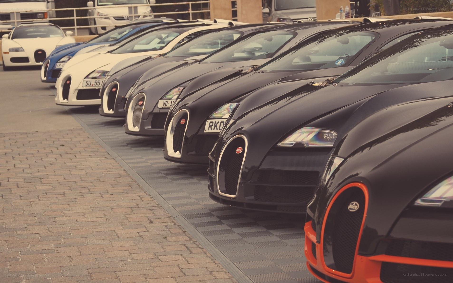 Bugatti cars in a row