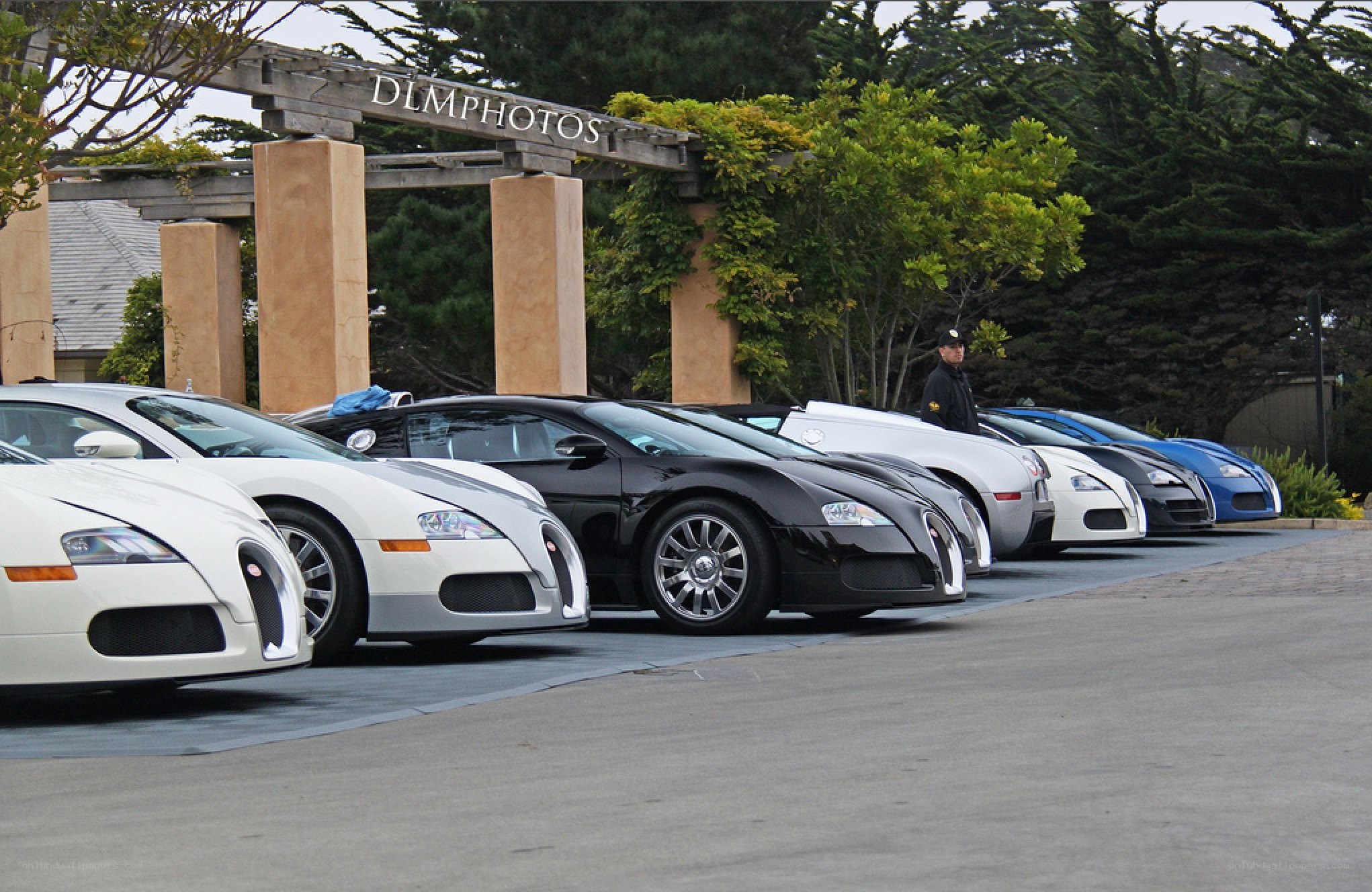 Bugatti cars lined up at event