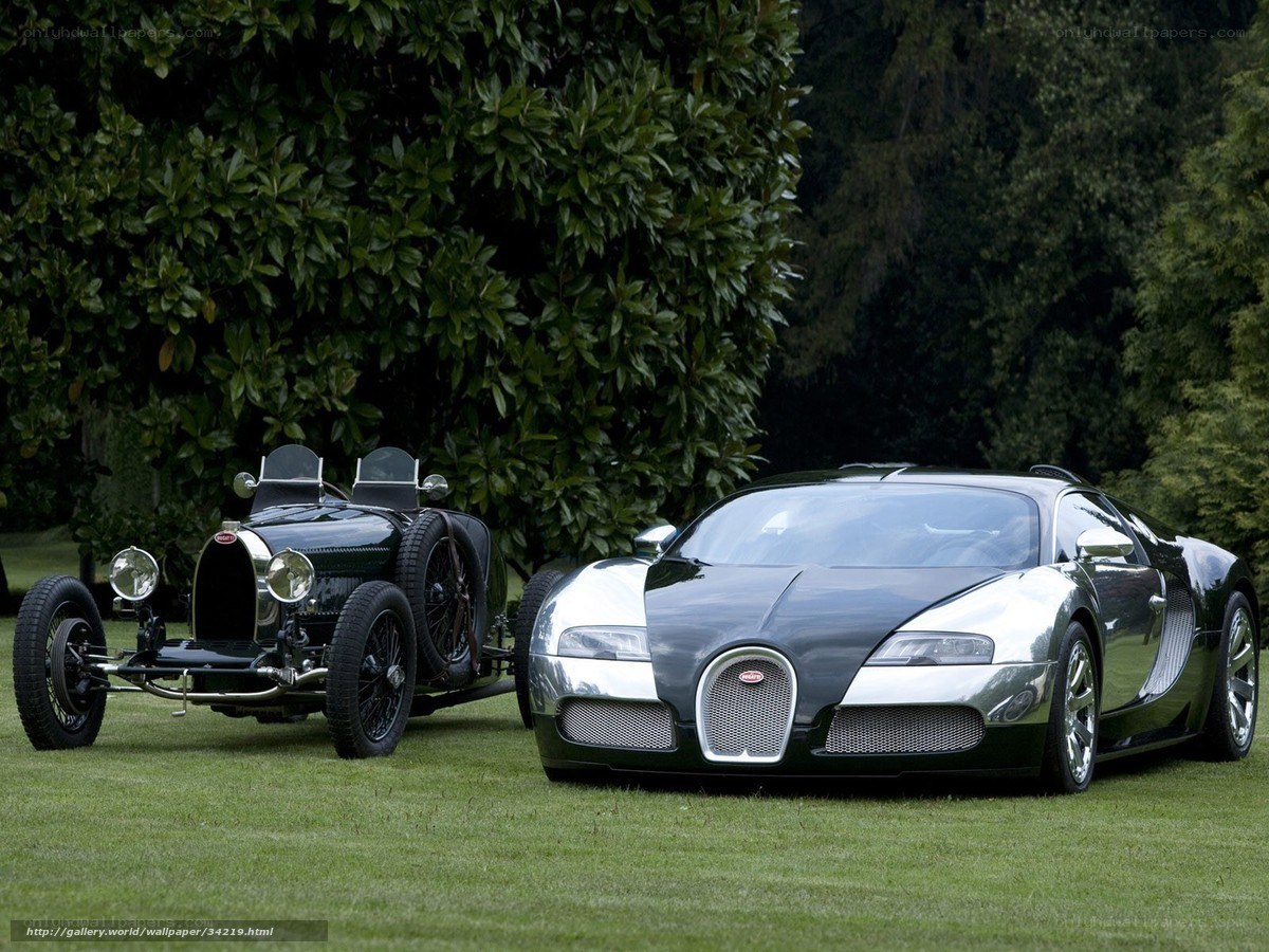 Bugatti cars on grass