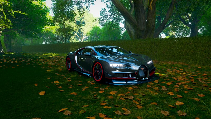 Bugatti Chiron in Forest