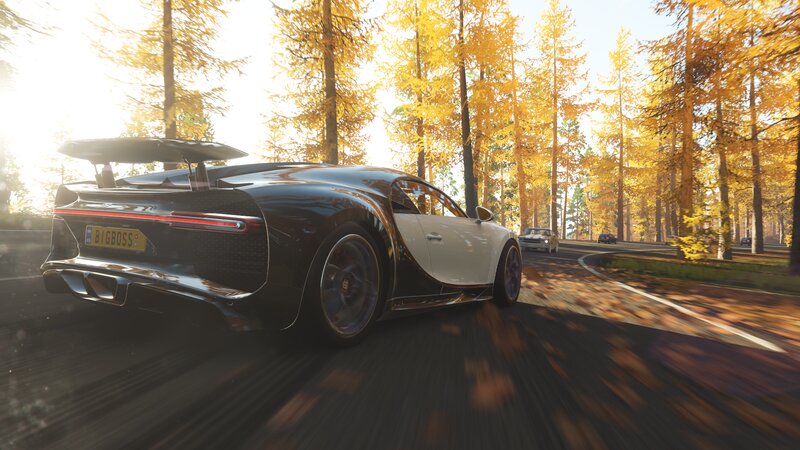 Bugatti Chiron on Forest Road