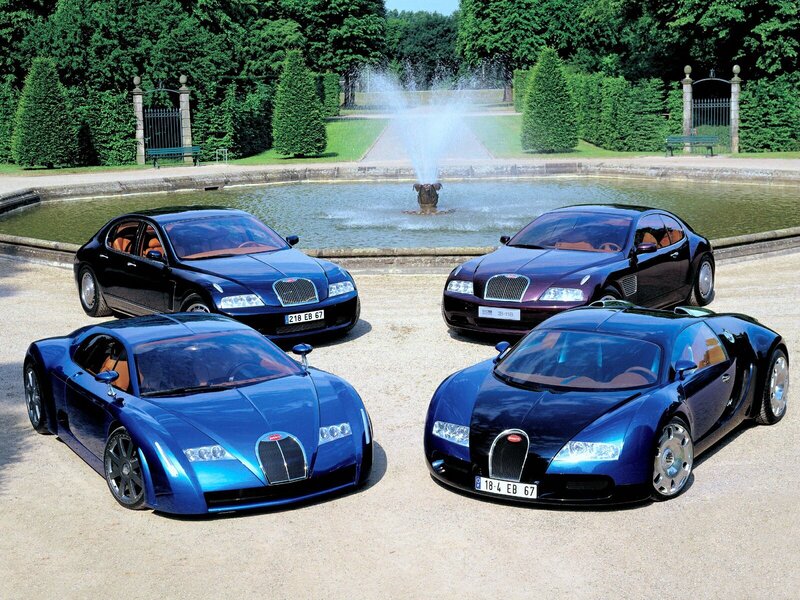 Bugatti concept cars in garden