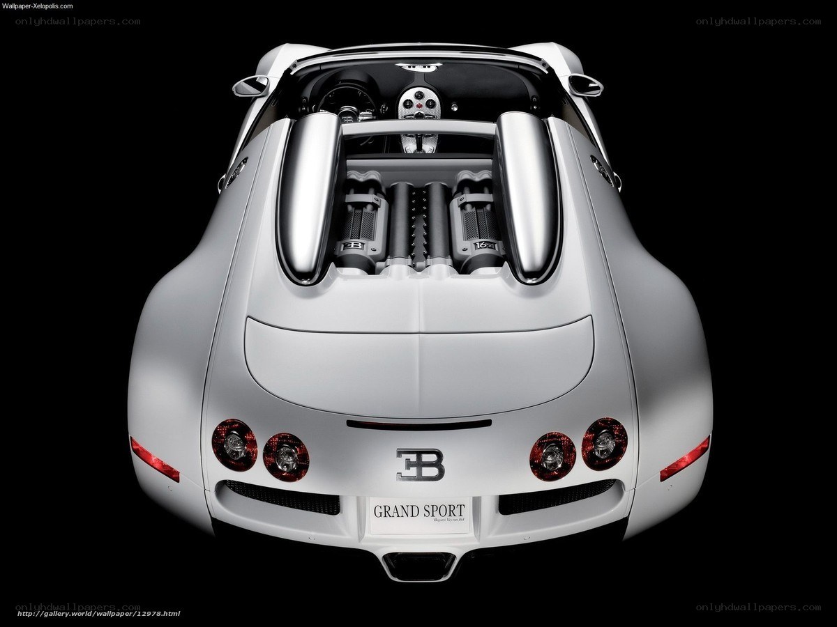 Bugatti Grand Sport rear view