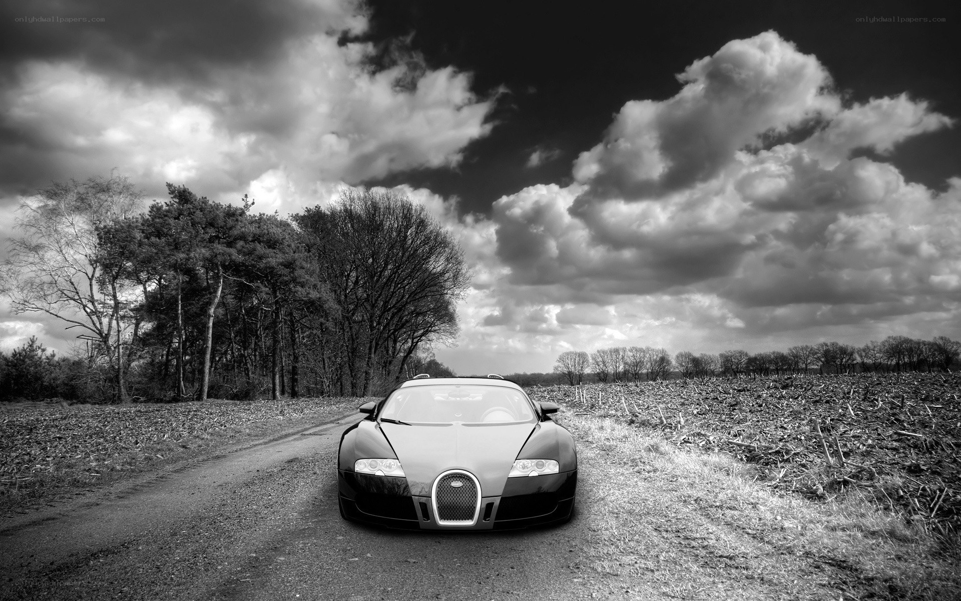 Bugatti on a rural road