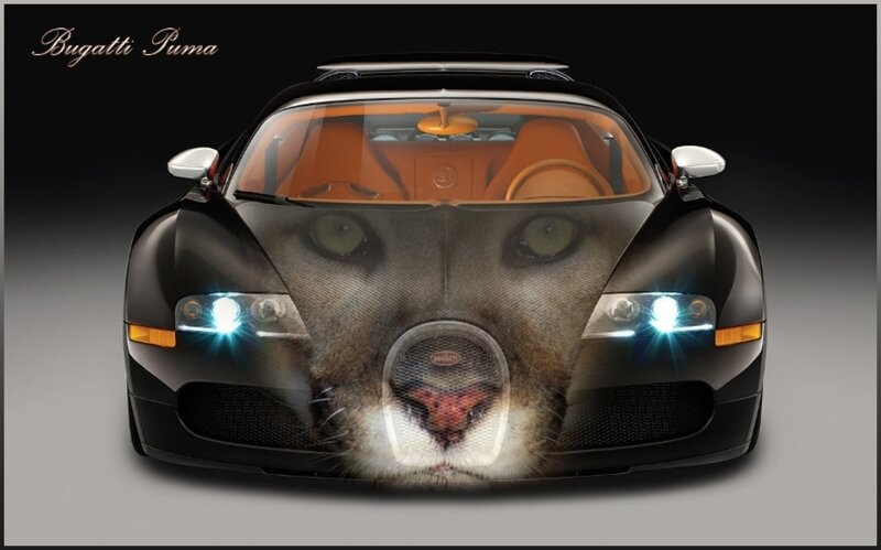 Bugatti Puma car design