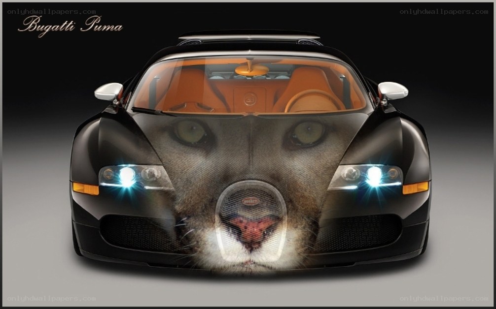 Bugatti Puma car design