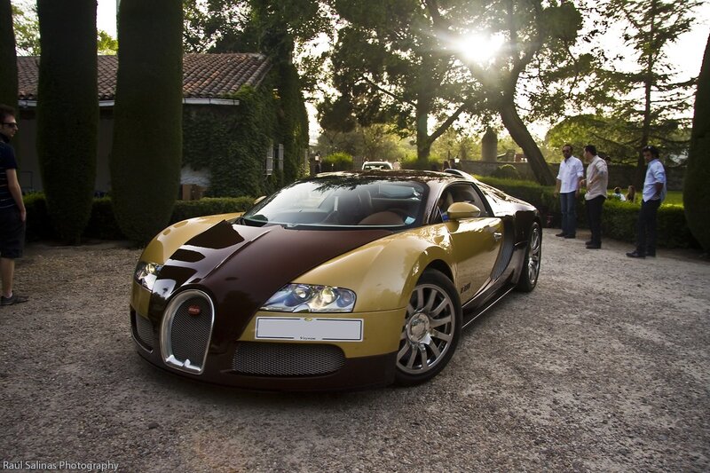 Bugatti Veyron at a garden event