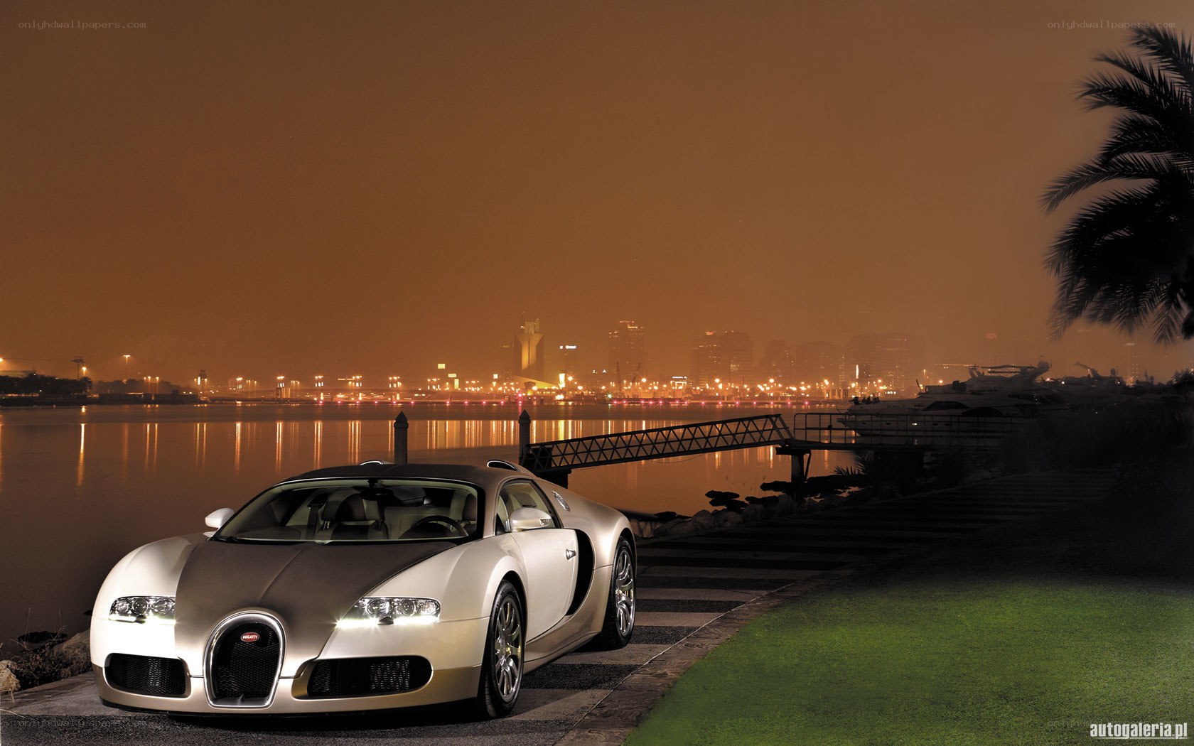 Bugatti Veyron at night
