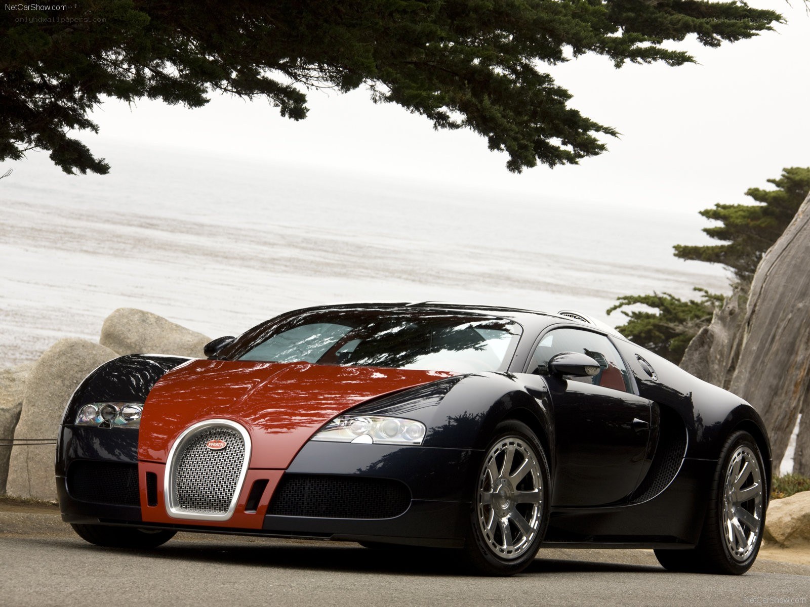 Bugatti Veyron by the coast