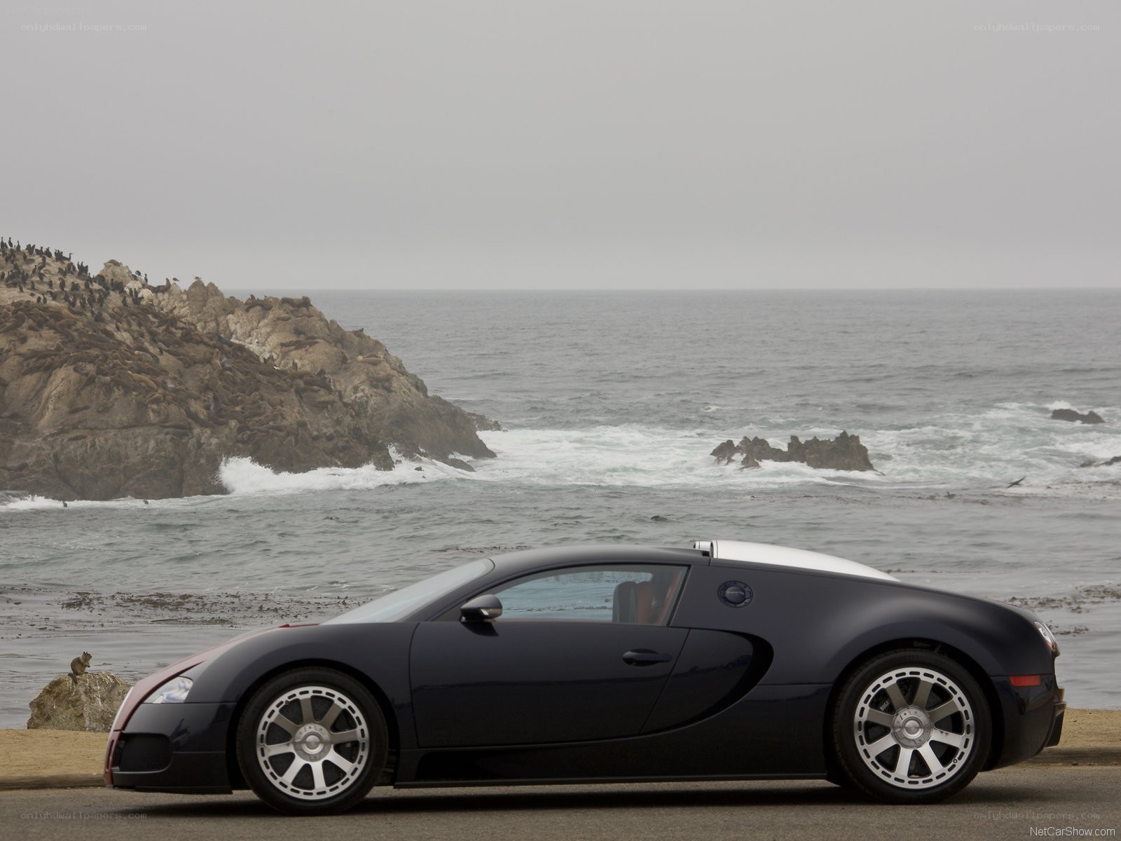 Bugatti Veyron by the coast