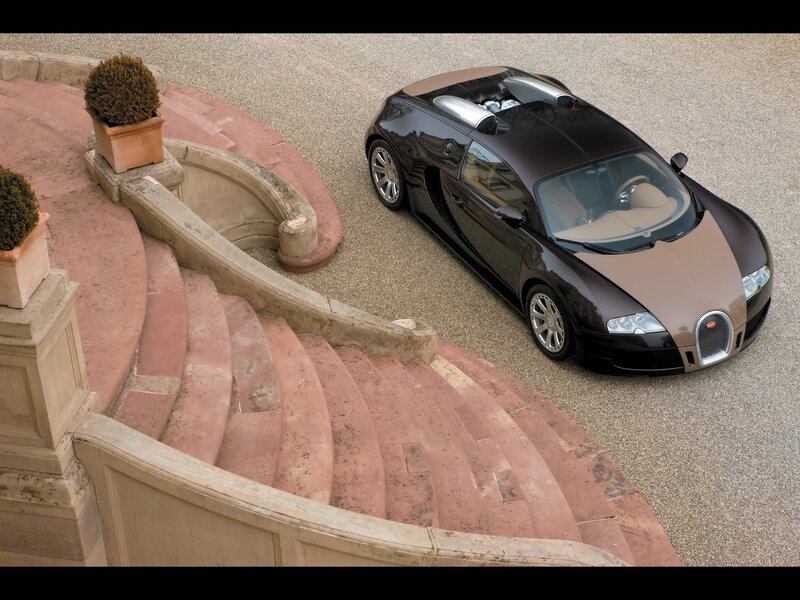 Bugatti Veyron Car — Black, Dramatic, Afternoon, Photograph, Stairs, Potted Plant