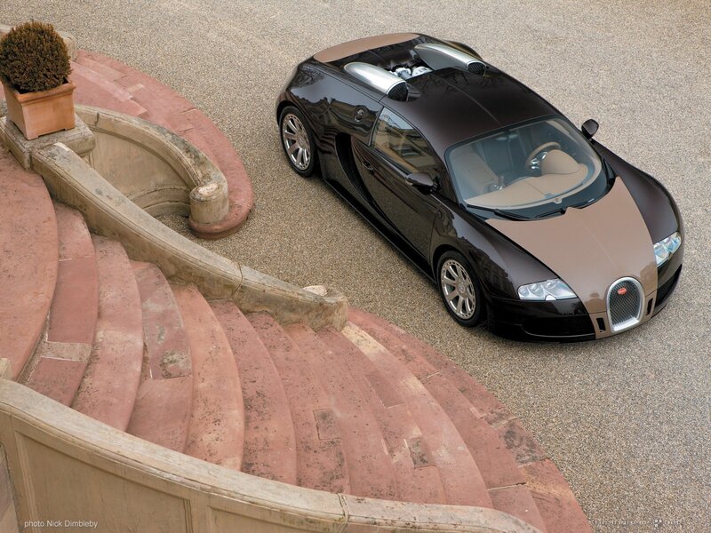 Bugatti Veyron Car — Black, Dramatic, Photograph, Stairs, Potted Plant