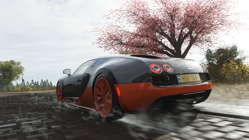 Bugatti Veyron Car — Black, Dynamic, Spring