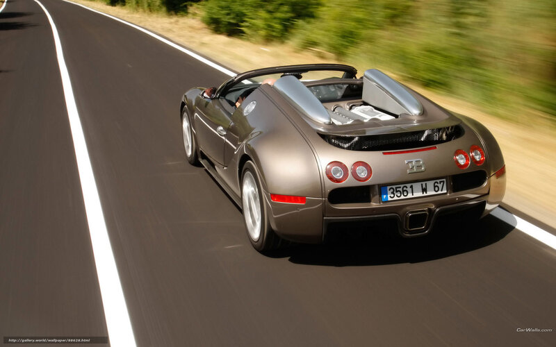 Bugatti Veyron Convertible — Gray