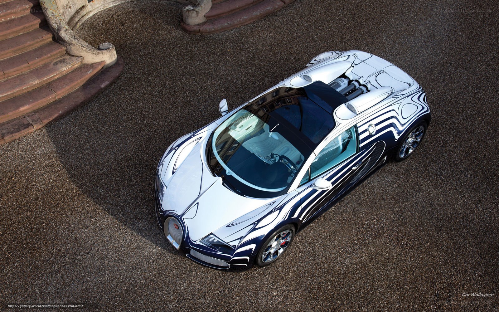 Bugatti Veyron from above
