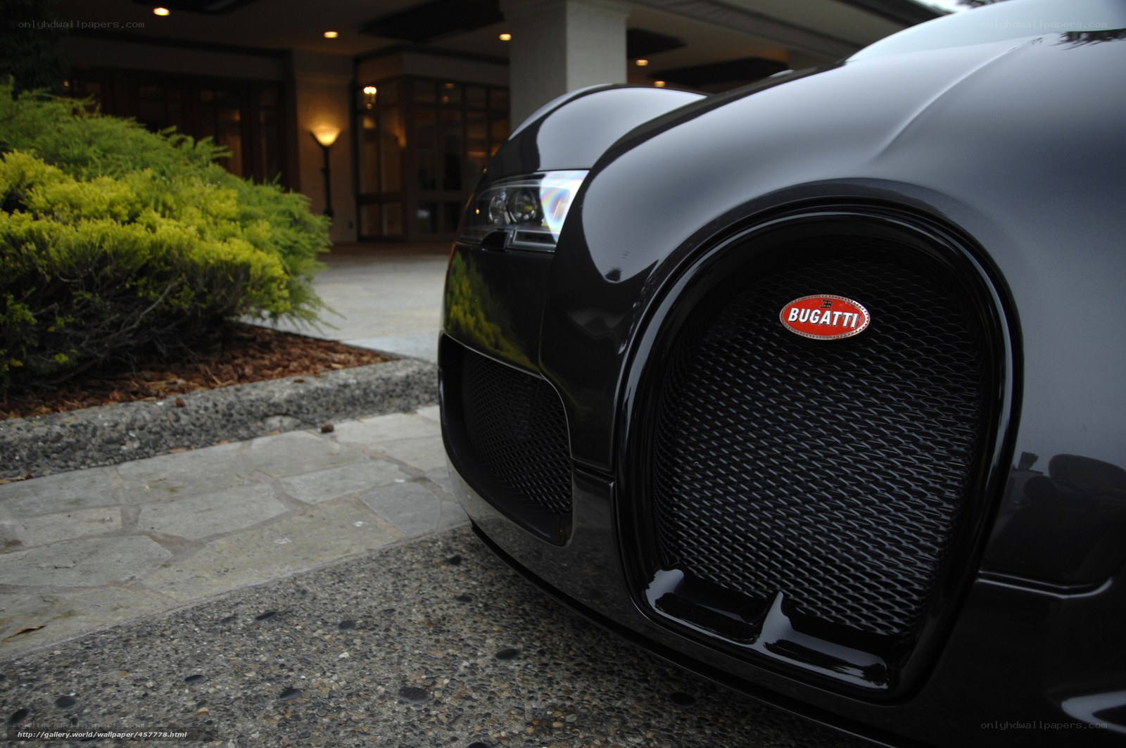 Bugatti Veyron front grille